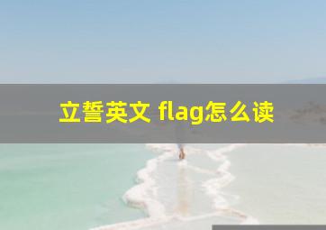 立誓英文 flag怎么读